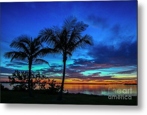 Sun Metal Print featuring the photograph Palm Silhouette at Harbor Point by Tom Claud