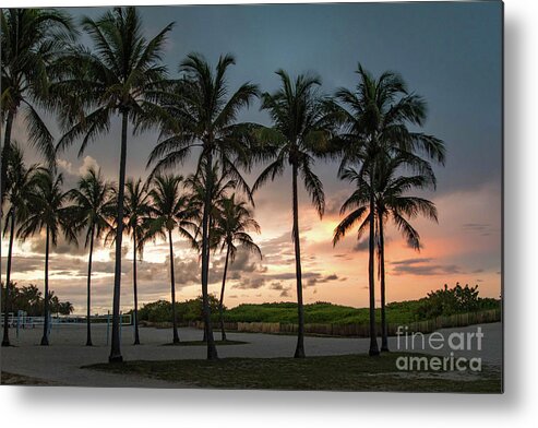 Sunset Metal Print featuring the photograph Palm Tree Sunset, South Beach, Miami, Florida by Beachtown Views