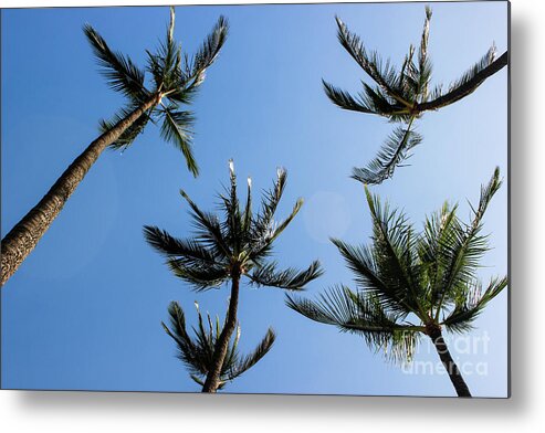 Maui Metal Print featuring the photograph Palm Trees by Wilko van de Kamp Fine Photo Art
