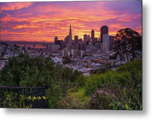  Metal Print featuring the photograph Parkside Fantasies by Louis Raphael