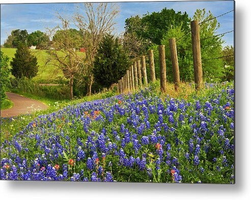 Landscape Metal Print featuring the photograph Texas Spring #1 by Gerard Harrison
