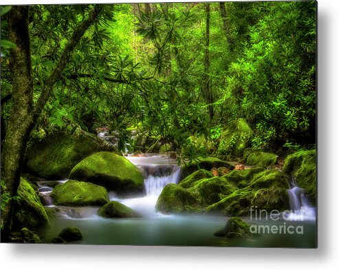 Waterfall Metal Print featuring the photograph Peaceful Cascades in the Forest by Shelia Hunt