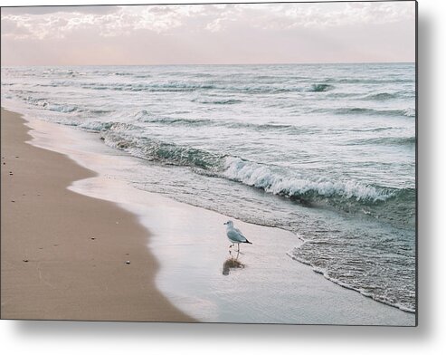 Sunset Metal Print featuring the photograph Peaches of the Sea Gull by Bella B Photography