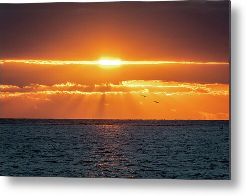 Sunrise Metal Print featuring the photograph Pelican Sunrise by David Hart