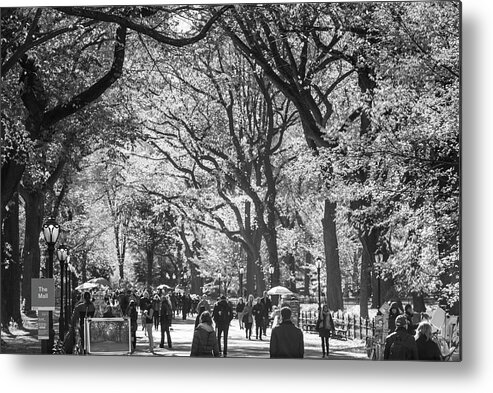 Photography Black And White Image Horizontal Central Park Mall Central Park Manhattan New York City New York State Usa North America Outdoors Day Large Group Of People People Men Women Adult Walking Motion On The Move Tree Autumn Season Leisure Activity Nature Scenics Tranquil Scene Tranquility Travel Destinations  Metal Print featuring the photograph People walking in a park, Central Park Mall, Central Park, Manhattan, New York City, New York State, by Panoramic Images