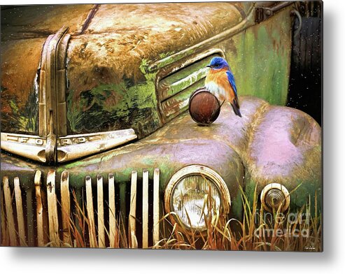  Ford Truck Metal Print featuring the painting Perched On The Old Ford by Tina LeCour