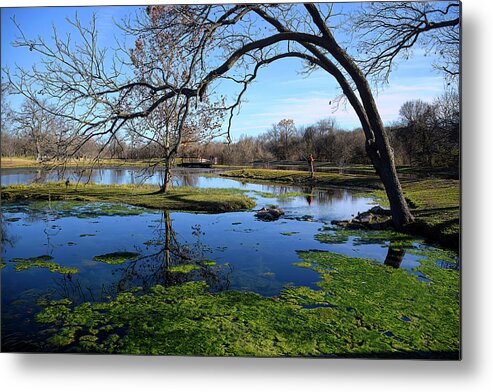 Springs Metal Print featuring the photograph Perfect Day by Cheri Freeman