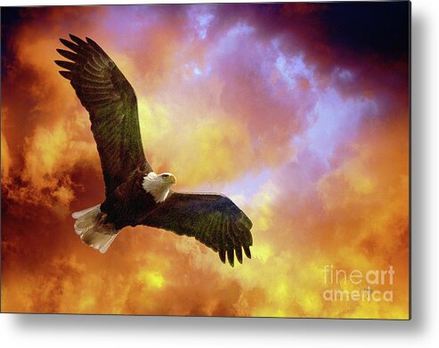 Eagle Metal Print featuring the photograph Perseverance by Lois Bryan