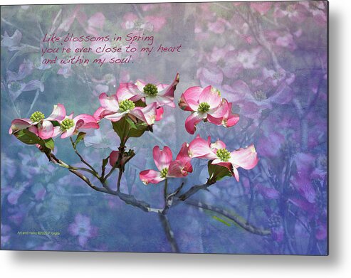 Tree Metal Print featuring the photograph Petals on a Tree with Haiku by Paul Giglia