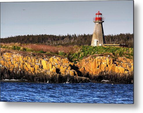 Light House Island Peters Island Gulls Rocks Sea Ocean Nova Scotia Metal Print featuring the photograph Peters Light House by David Matthews