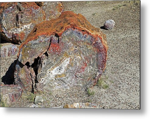 Petrified Forest National Park Metal Print featuring the photograph Petrified Logs - Petrified Forest National Park by Richard Krebs