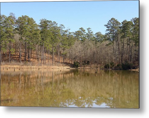 Piedmont National Wildlife Refuge Metal Print featuring the photograph Piedmont Pond Lean by Ed Williams