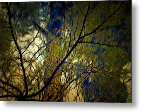 Branches Metal Print featuring the mixed media Piney Branches by Christopher Reed