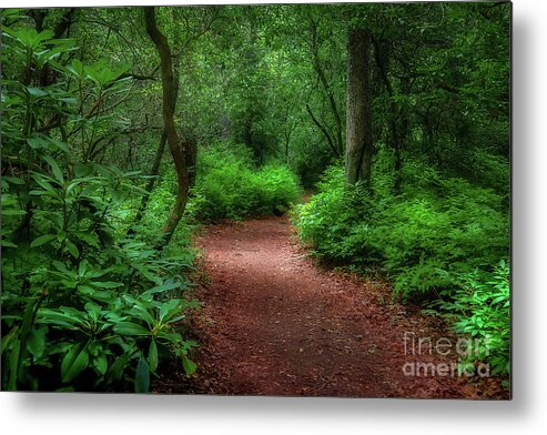Trail Metal Print featuring the photograph Pink Beds Trail II by Shelia Hunt