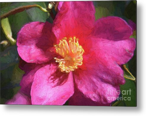 Floral Art Metal Print featuring the photograph Pink Icicle Camelia by Diana Mary Sharpton