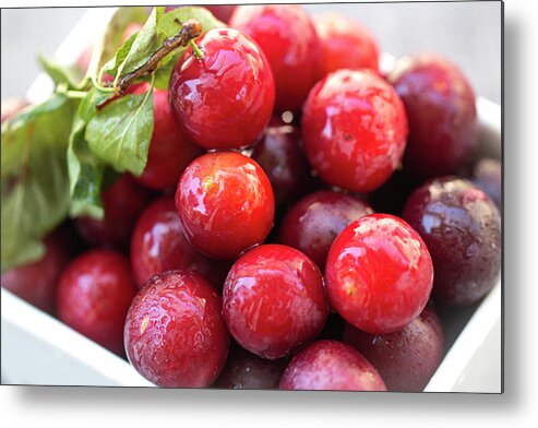 Fruit Metal Print featuring the photograph Plums A Lot by Vanessa Thomas