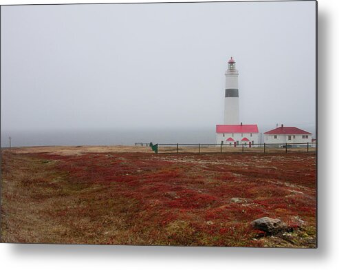 'tallest Lighthouse In Atlantic Canada' Metal Print featuring the photograph Point Amour Lighthouse in L'Anse-Amour by Makiko Ishihara