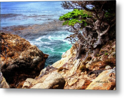 Color Metal Print featuring the photograph Point Lobos Coast by Alan Hausenflock