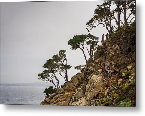  Point Lobos Metal Print featuring the photograph Point Lobos III Color by David Gordon