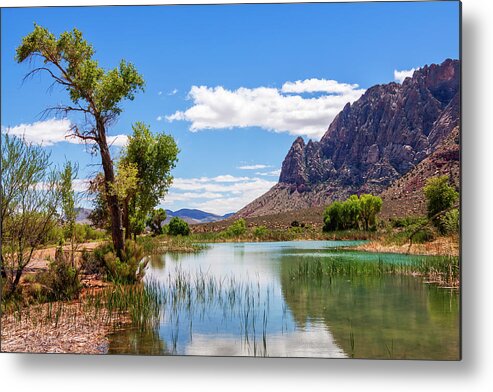 Pond Reflections Metal Print featuring the photograph Pond reflections in Mohave Desert, Nevada by Tatiana Travelways