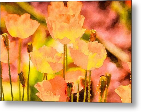 Poppy Metal Print featuring the photograph Poppy Dream by Susan Rydberg