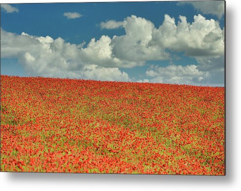 Landscape Metal Print featuring the photograph Poppy field 4 by Remigiusz MARCZAK