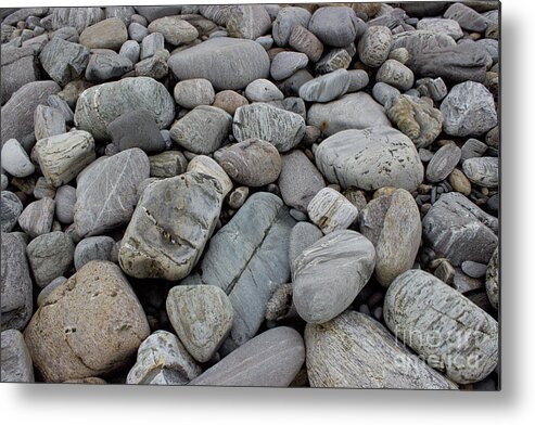  Metal Print featuring the pyrography Portland rocks by Annamaria Frost