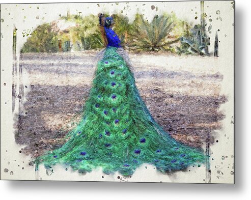 Peacock Metal Print featuring the digital art Proud as a Peacock by Alison Frank