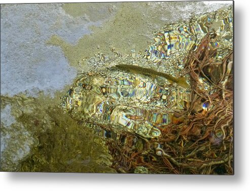 Abstraction Metal Print featuring the photograph Klimt Fish and Trout Escort by Amelia Racca