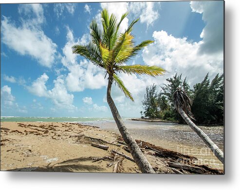 Puerto Metal Print featuring the photograph Puerto Rican Paradise, Loiza, Puerto Rico by Beachtown Views