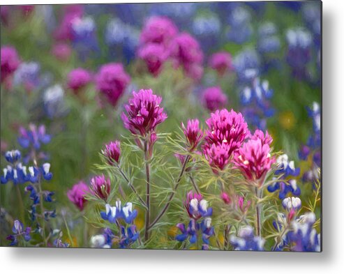 Castilleja Metal Print featuring the digital art Purple clove and lupinus happy pattern by Alessandra RC