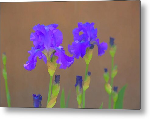 Purple Metal Print featuring the digital art Purple Iris by JBK Photo Art