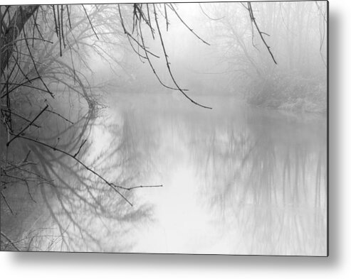 Foggy Metal Print featuring the photograph Putah Creek on a foggy morning by Alessandra RC
