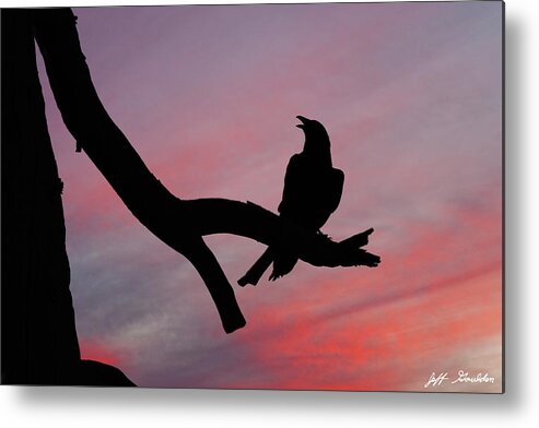 Adult Metal Print featuring the photograph Raven Silhouette by Jeff Goulden