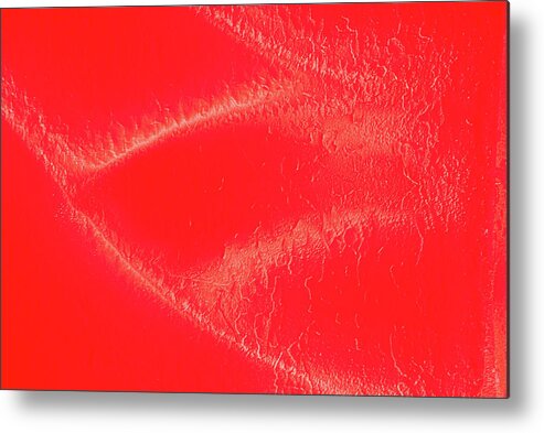 Valentine Metal Print featuring the photograph Ravishing Red Is For Lovers by Ken Sexton