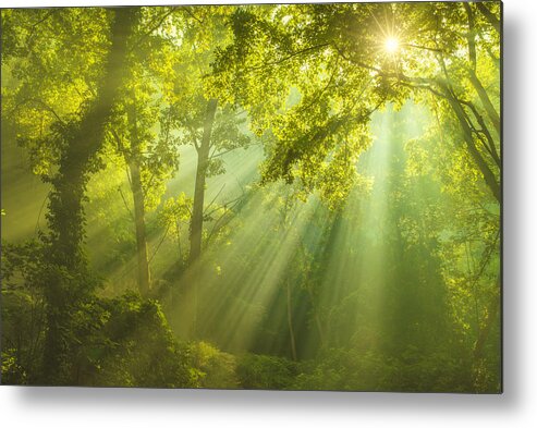 Scenics Metal Print featuring the photograph Rays of sunlight and Green Forest by SonerCdem