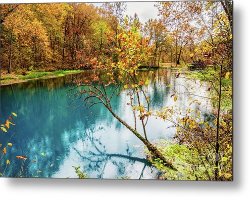Eminence Metal Print featuring the photograph Reaching Out by Jennifer White