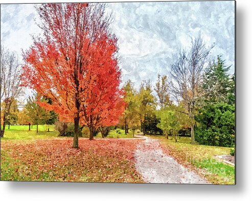 Maple Tree Metal Print featuring the mixed media Red Maple Trees Along The Walk Painterly by Jennifer White