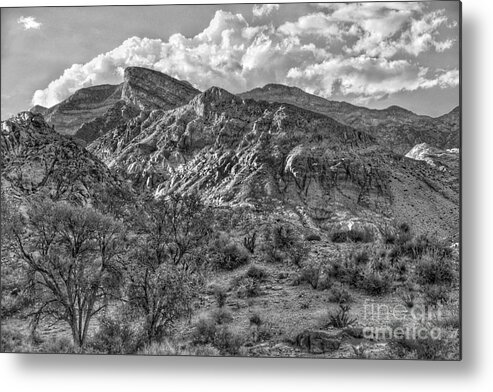  Metal Print featuring the photograph Red Springs Dream 13 by Rodney Lee Williams