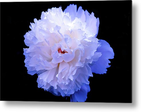 Background Metal Print featuring the photograph Red, White and Blue by Anthony M Davis