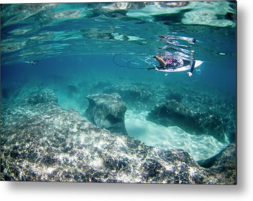 Underwater Metal Print featuring the photograph Reef Anvil by Sean Davey