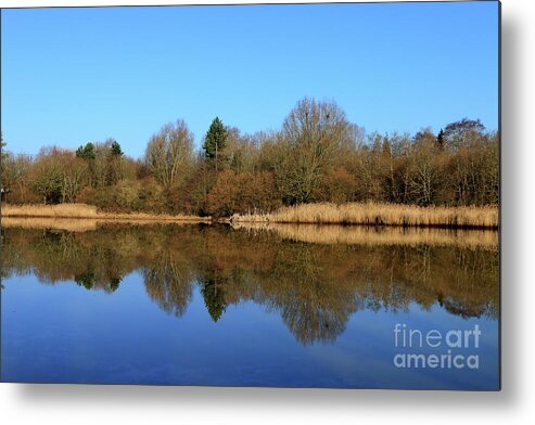 Water Metal Print featuring the photograph Reflection on Mill Pool by Stephen Melia