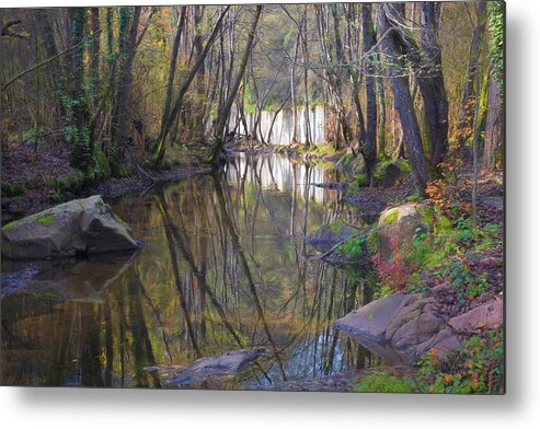 Forest Metal Print featuring the photograph Reflections in the river in the middle of autumn by Jordi Carrio Jamila