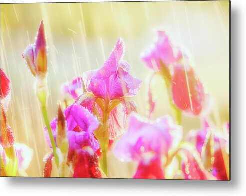 Nature Metal Print featuring the photograph Refreshing Spring Rain by Leland D Howard