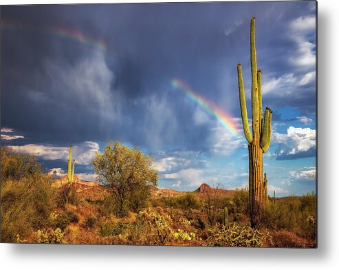 Arizona Metal Print featuring the photograph Respite From The Storm by Rick Furmanek