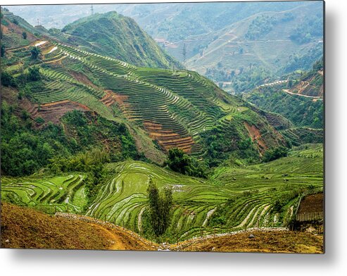 Black Metal Print featuring the photograph Rice Terraces of Lao Cai by Arj Munoz
