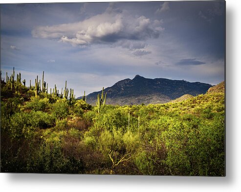 Rincon Peak Metal Print featuring the photograph Rincon Peak and Saguaro Cactus Sunset Light, Tucson AZ by Chance Kafka
