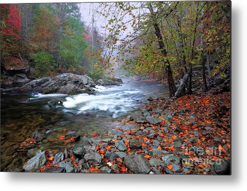 Rain Metal Print featuring the photograph River and Rain by Rick Lipscomb