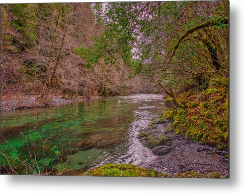 Color Metal Print featuring the photograph River View by Bill Posner