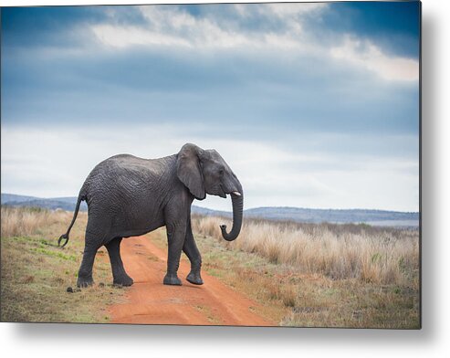 Outdoors Metal Print featuring the photograph Road Block by Photo by James Keith